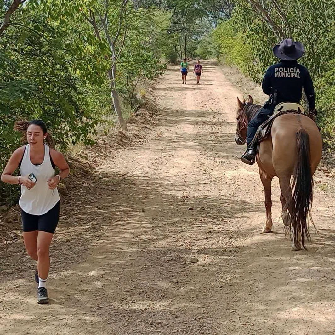 A caballo y con paso firme, Agrupamiento de Caballería refuerza la seguridad en Oaxaca de Juárez