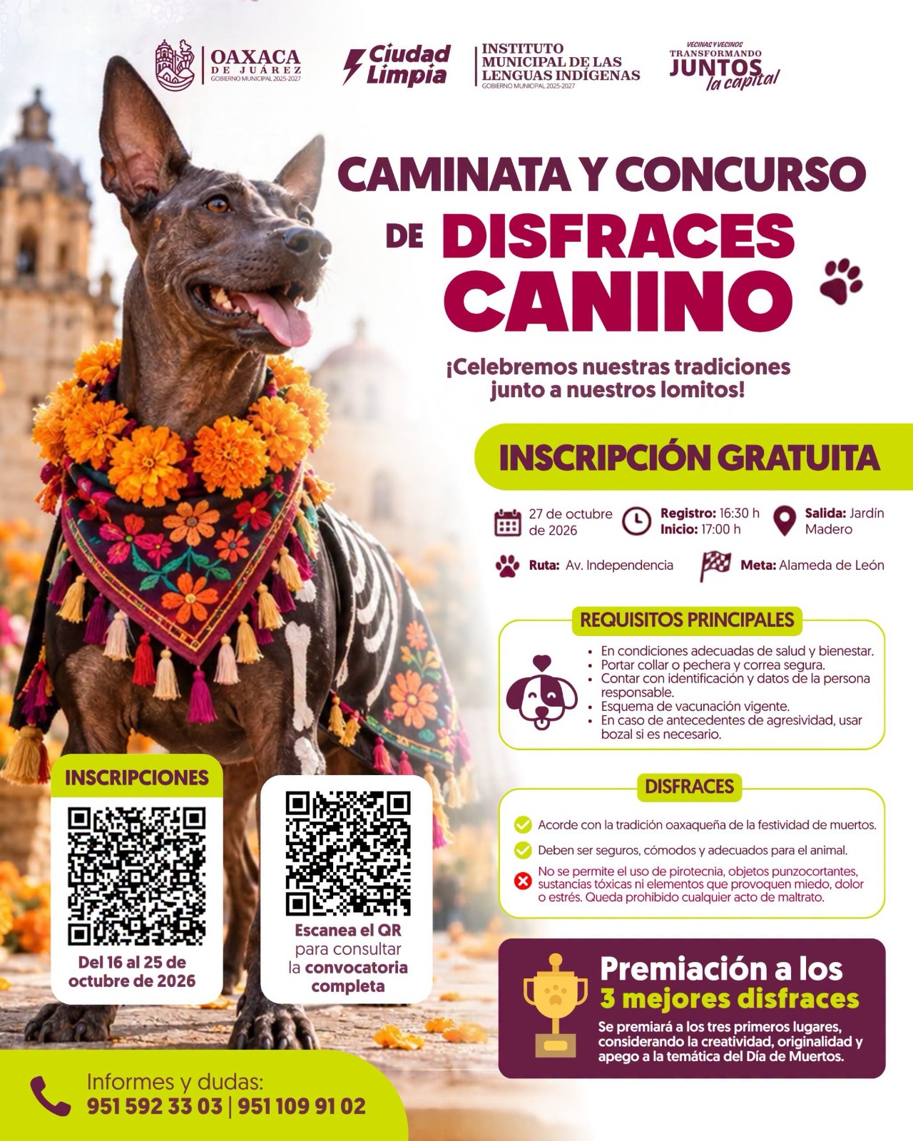 ¡Este Día de Muertos, los lomitos también se ponen festivos!